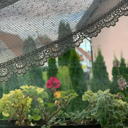 Проживание в семье L&b House *