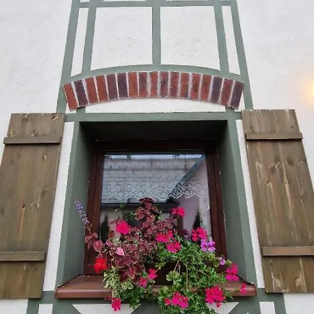 L&b House Проживание в семье